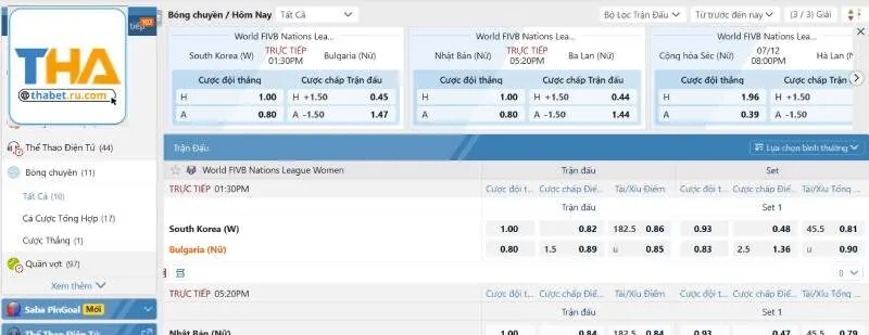 Nhà cái hỗ trợ người chơi cược sport