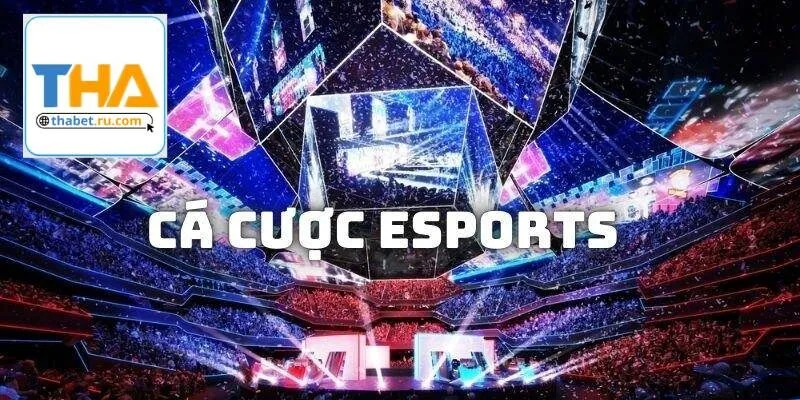 Nhà cái hỗ trợ người chơi cược